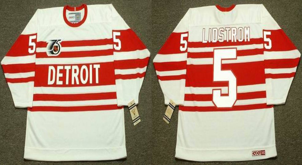2019 Men Detroit Red Wings 5 Lidstrom White CCM NHL jerseys2